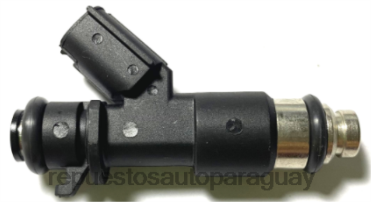 autopartes Asunción Paraguay | RV6801987 inyector de combustible 16450r70a01
