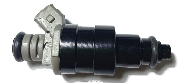 repuestos auto Paraguay | RV6801841 inyector de combustible iw155