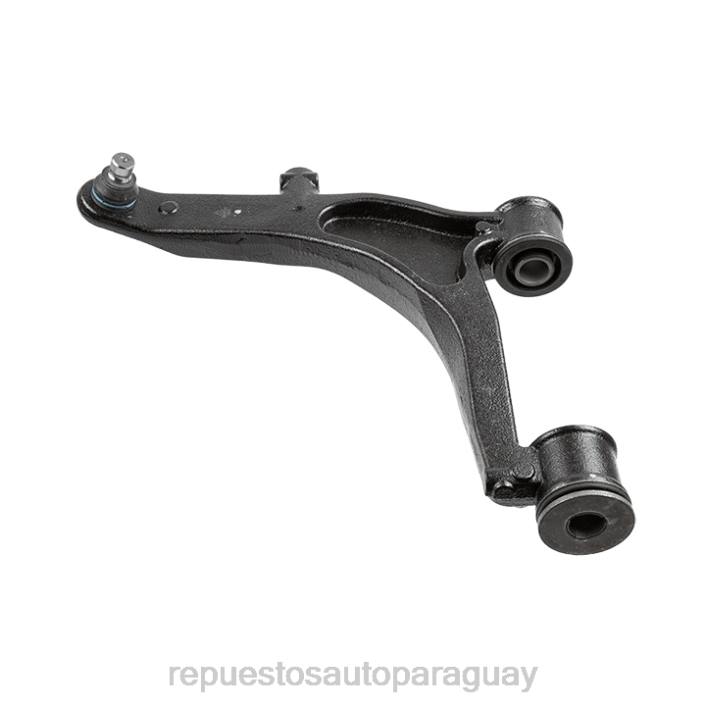 Nissan brazo de control 4404047 D02Z329 | autopartes y repuestos