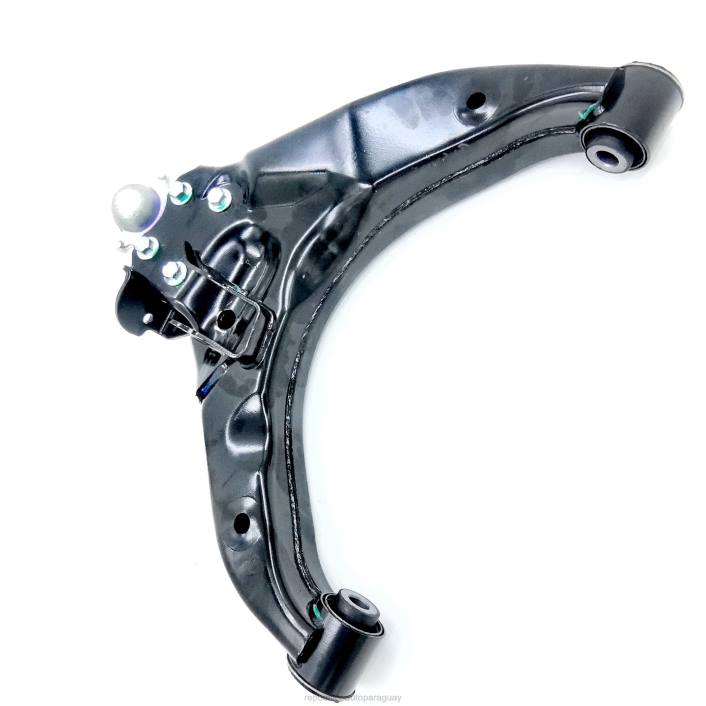 GM brazo de control 94727593 D02Z809 | autopartes y repuestos